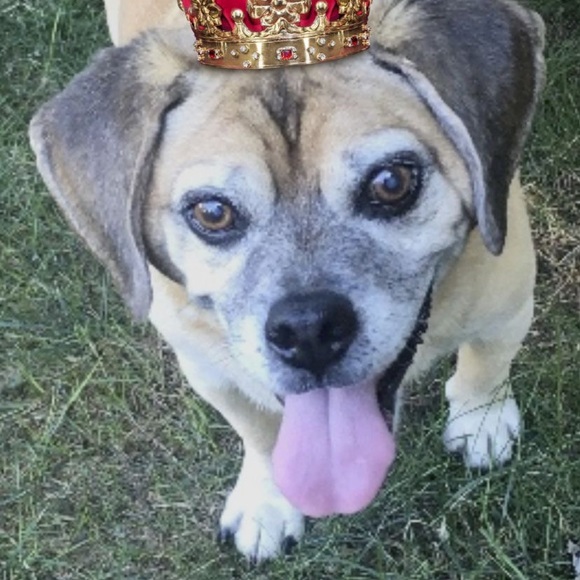 #Meet The Posher Monika - Picture 6 of 11